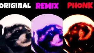 Dancing raccoon Raffaella Carrà - Pedro Original vs Phonk vs Remix Version part 4