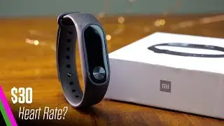 Xiaomi Mi Band 2 Fitness Review - BEST CHEAP Fitness Wearable?