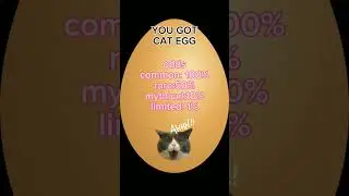 cat egg #capybara #egg #memes #funny #animal #cat