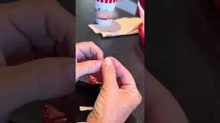 Grasshopper Greets Girls At A Restaurant