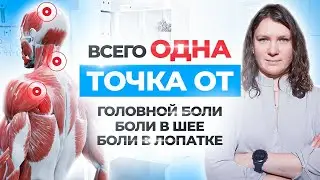 РАЗМИНАЙ КАЖДЫЙ ДЕНЬ | ЭТА точка избавит от боли в шее, лопатке и голове