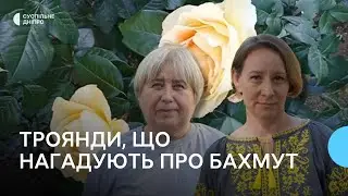 «Ці квіти нагадують про рідне місто»: у Дніпрі переселенці з Бахмута висадили троянди