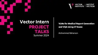 VLMs for Medical Report Generation and VQA Using CT Scans - Vector Intern Talks