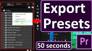 How To Export Effects Presets From Premiere Pro