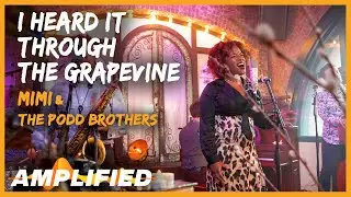 Mimi & The Podd Brothers - I Heard It Through The Grapevine | Amplified