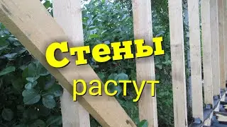 Каркасный сарай своими руками. Часть 2. Верхняя обвязка и стены