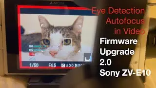 Animal Eye Detection AF in Video Sony ZVE10 (Firmware 2.0 Upgrade)