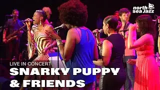 Snarky Puppy & Friends with Lalah Hathaway - Full Concert [HD] | Live at North Sea Jazz 2014