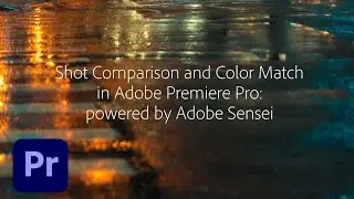 Shot Comparison & Color Match in Premiere Pro (12.1) | Adobe Creative Cloud