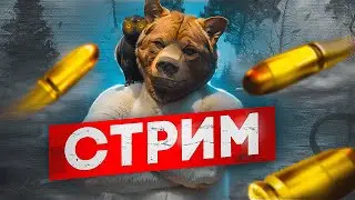 СТРИМ! КАТАЕМ УГОНКИ, РПШИМ