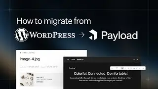 How to migrate from Wordpress to Payload