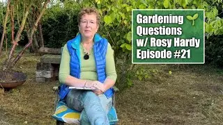 Getting Rid of Spotted Spurge? Propagating Variegated Plants? | Gardening Questions w/ Rosy Hardy