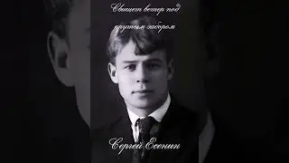 Сергей Есенин - Свищет ветер под крутым забором