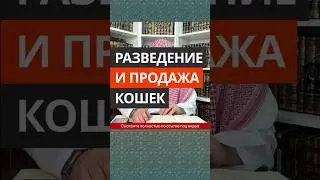 Разведение и продажа кошек || Сирадж Абу Тальха