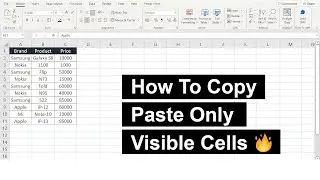 Copy & Paste Into Visible Cells Only | Copy Visible Cells & Paste Values Only to Visible Target Cell