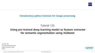 Tutorial 125 - Using pretrained deep learning model as feature extractor for XGBoost segmentation