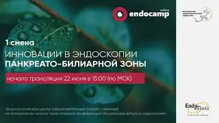 Инновации в эндоскопии панкреас-билиарной зоны. День 1