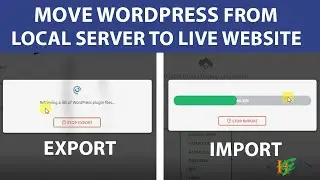 How to Move WordPress from Local Server to Live Website | Step By Step Tutorial