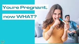 Pregnancy Animation Video | First Things to do When You Find Out Your'e Pregnant | New Mom Pregnancy