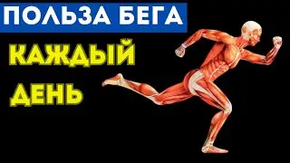 ЧТО  будет с ТЕЛОМ, если БЕГАТЬ каждый день (вы будете УДИВЛЕНЫ)