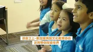 全年开放的新加坡青少学习营 - 小学组