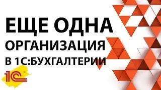 Как быстро добавить организацию в 1С:Бухгалтерию 8.3