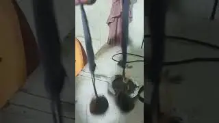 ini baru lota2 bkn lato2 belinya harus sekilo gak bisa beli bijian#lota lota#