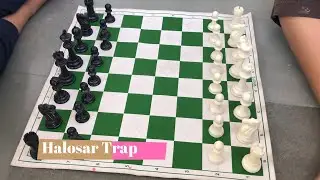 Chess Trick Halosar Trap | Best Chess Trick | शतरंज trick