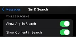 How To Show Content In Search On iPhone