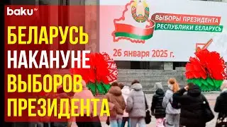 26 января выборы президента в Беларуси: досрочно проголосовала уже четверть граждан