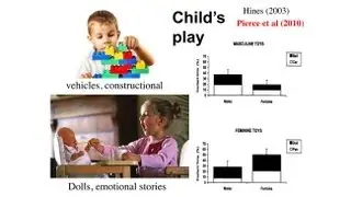 CARTA: Human Origins: Autism Spectrum Disorders - Simon Baron-Cohen: The Fetal Androgen Theory