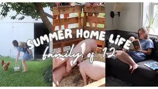 Summer Home Life Family  of 12 | An Unusual Lesson | Getting Pigs