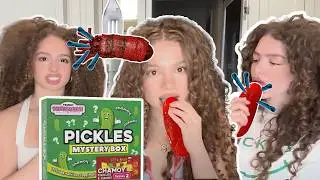 Trying ROTTEN Pickle Mystery Box (TikTok Viral Chamoy Pickle Challenge)