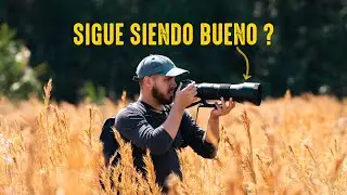 El Sigma 150-600 mm Contemporary Despues de un año de uso ( Review )