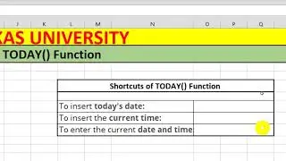 Learn Today Function in Excel | Vikas University Excel Tutorial