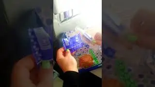 Состав сухого пайка на рейсах компании Белавиа