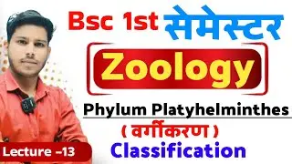 phylum platyhelminthes classification bsc 1st year | phylum platyhelminthes classification