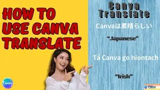 How to Use Canva Translate