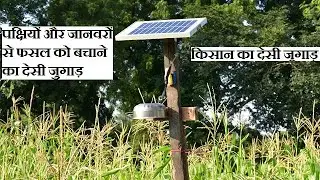किसान का देसी जुगाड़, पक्षियों और जानवरों से फसल को बचाने का देसी जुगाड़ #shorts #tech #desi