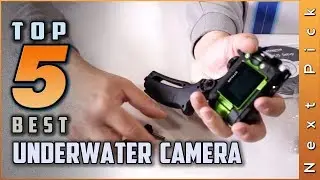 Top 5 Best Underwater Camera Review