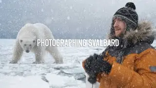 Arctic Landscape & Wildlife Photography Expedition