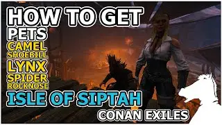 How to get pets: Camel, Shoebill, Lynx, Spider, Rocknose | Isle of Siptah | CONAN EXILES