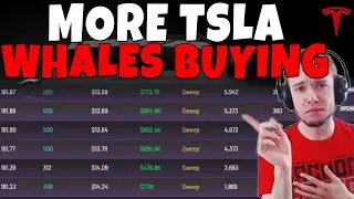 TESLA Stock - More TSLA Whales Buying For Next Week