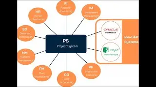 SAP PS (SAP Project System) || 15. Budgeting