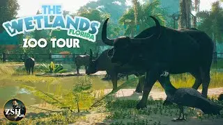 The Wetlands Florida - Full Zoo Tour! ¦ Planet Zoo Tour ¦ Wetlands Animal Pack