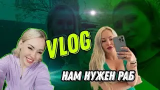 VLOG АКТРИСЫ XXX▶ 24 кошки, я и мои девчонки▶LOLA TAYLOR