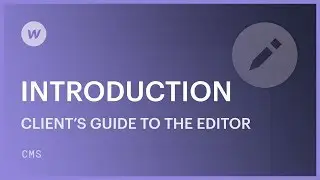 Clients guide to the Webflow Editor: Introduction