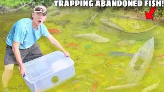 Trapping MONSTER Aquarium Fish in ABANDONED POND!