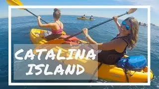 48 Hours on Catalina Island