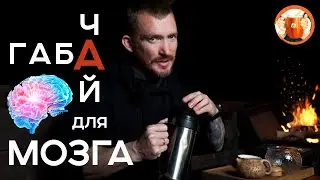 Габа чай. Чай для мозга. Тайваньский Габа Улун.